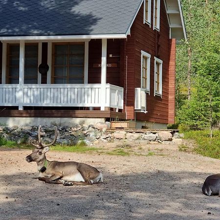 Riekko Chalet Rovaniemi Bagian luar foto