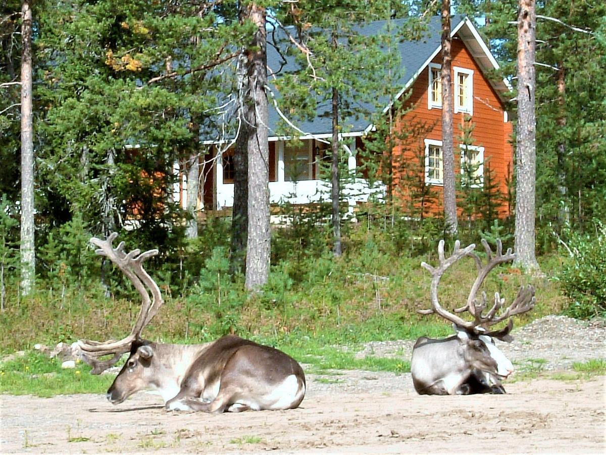 Riekko Chalet Rovaniemi Bagian luar foto